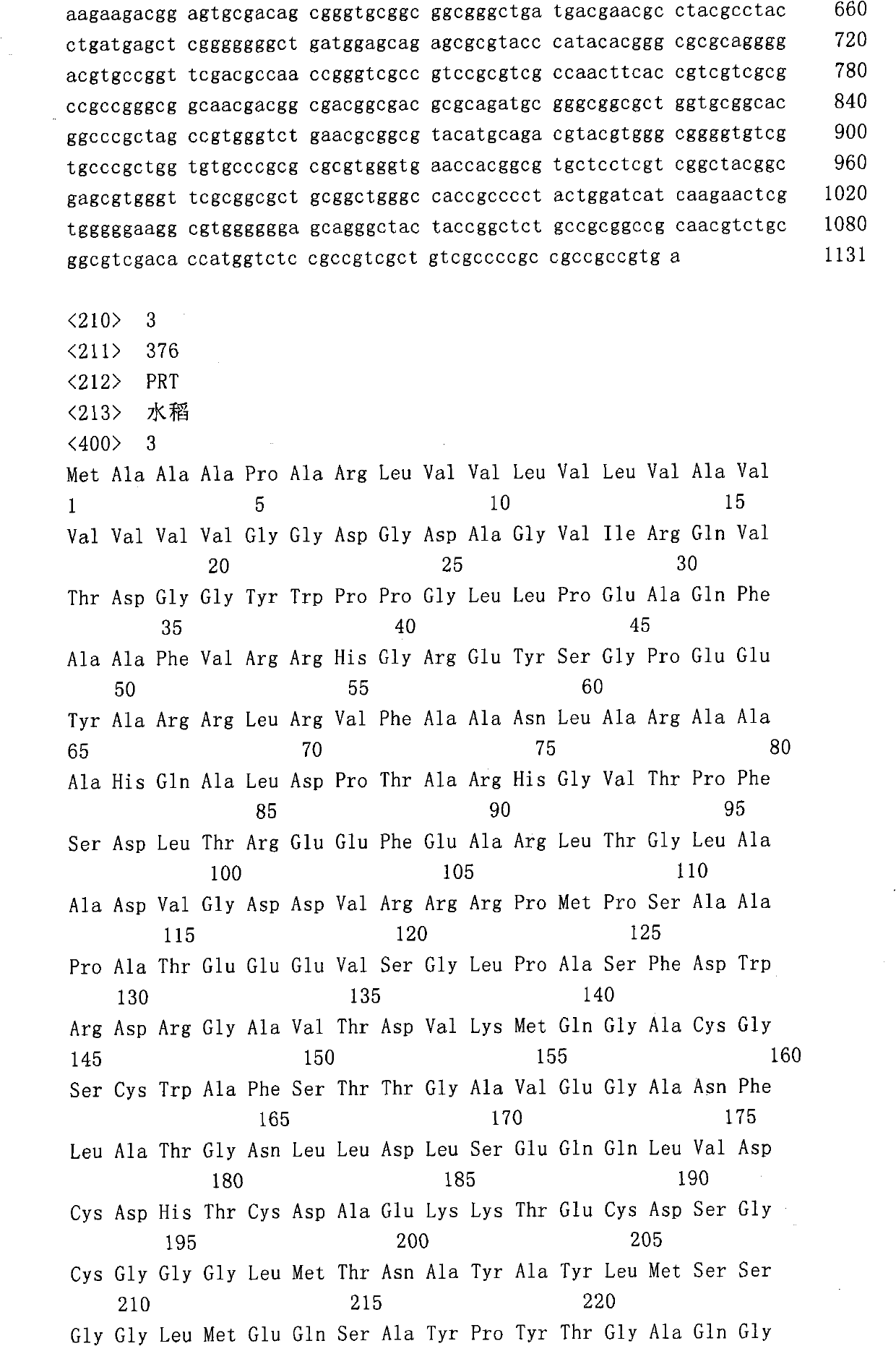 Papain antigenic epitope, antipain antibody and applications of papain antibody