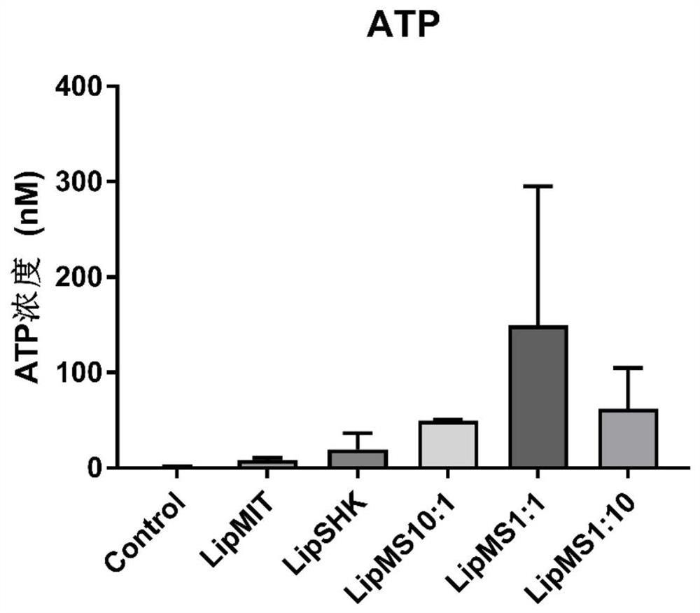Liposome co-loaded with alkannin and anthracycline chemotherapeutic drugs as well as preparation method and application of liposome