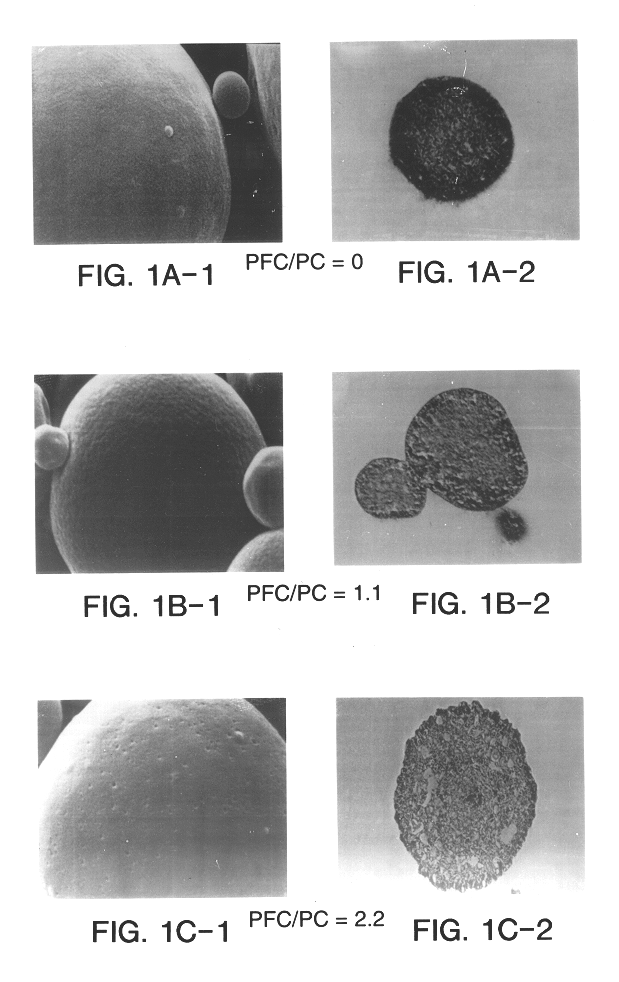 Stabilized bioactive preparations and methods of use
