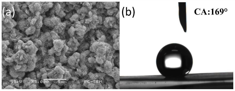 Method for preparing super-hydrophobic Zn-Fe alloy coating through electro-deposition in eutectic ionic liquid