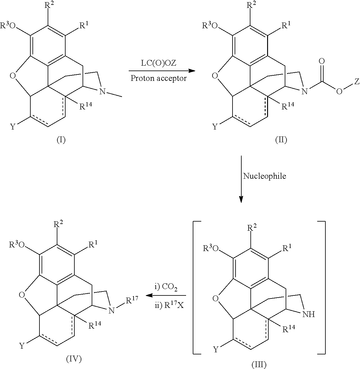 Tandem Process for Preparing N-Alkyl Morphinans
