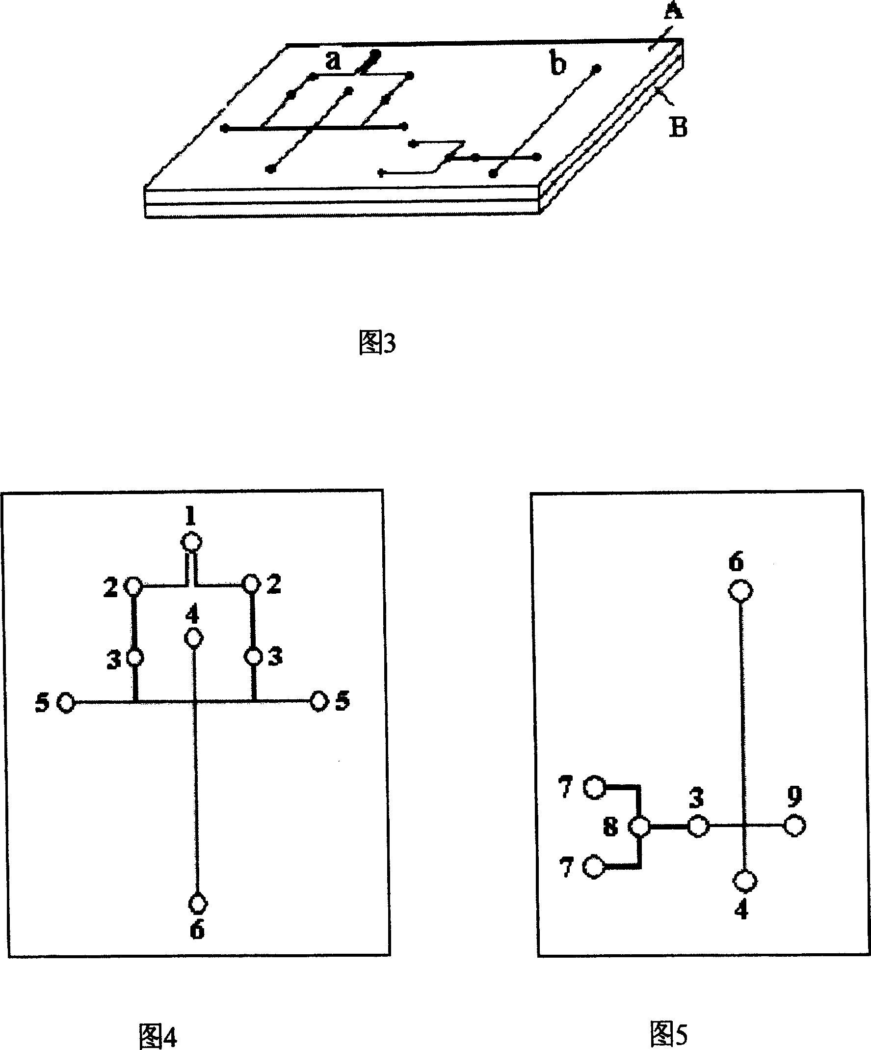 Micro flow controlling chip DNA molecular calculating device