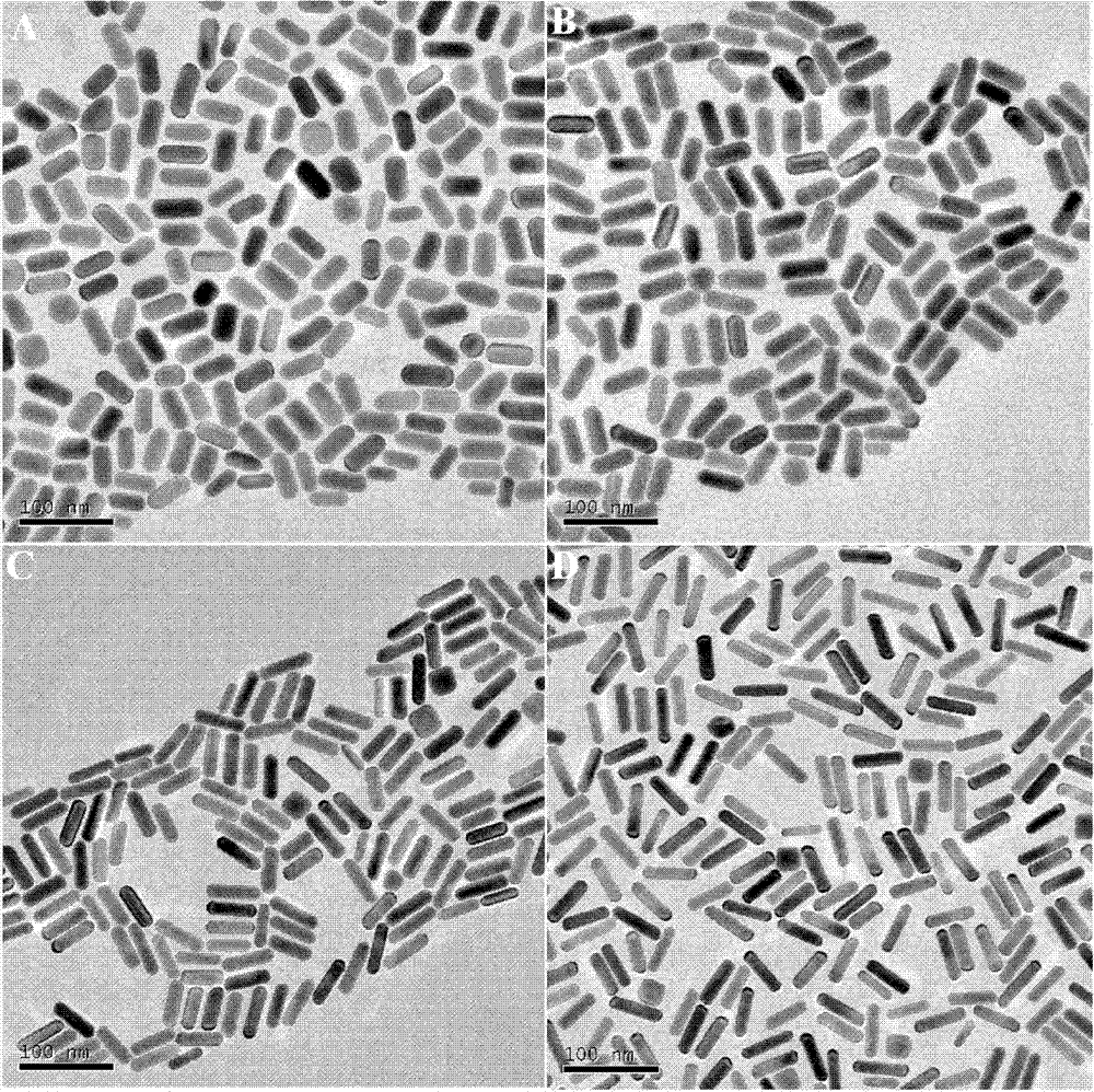 Gold nanorod and preparing method thereof