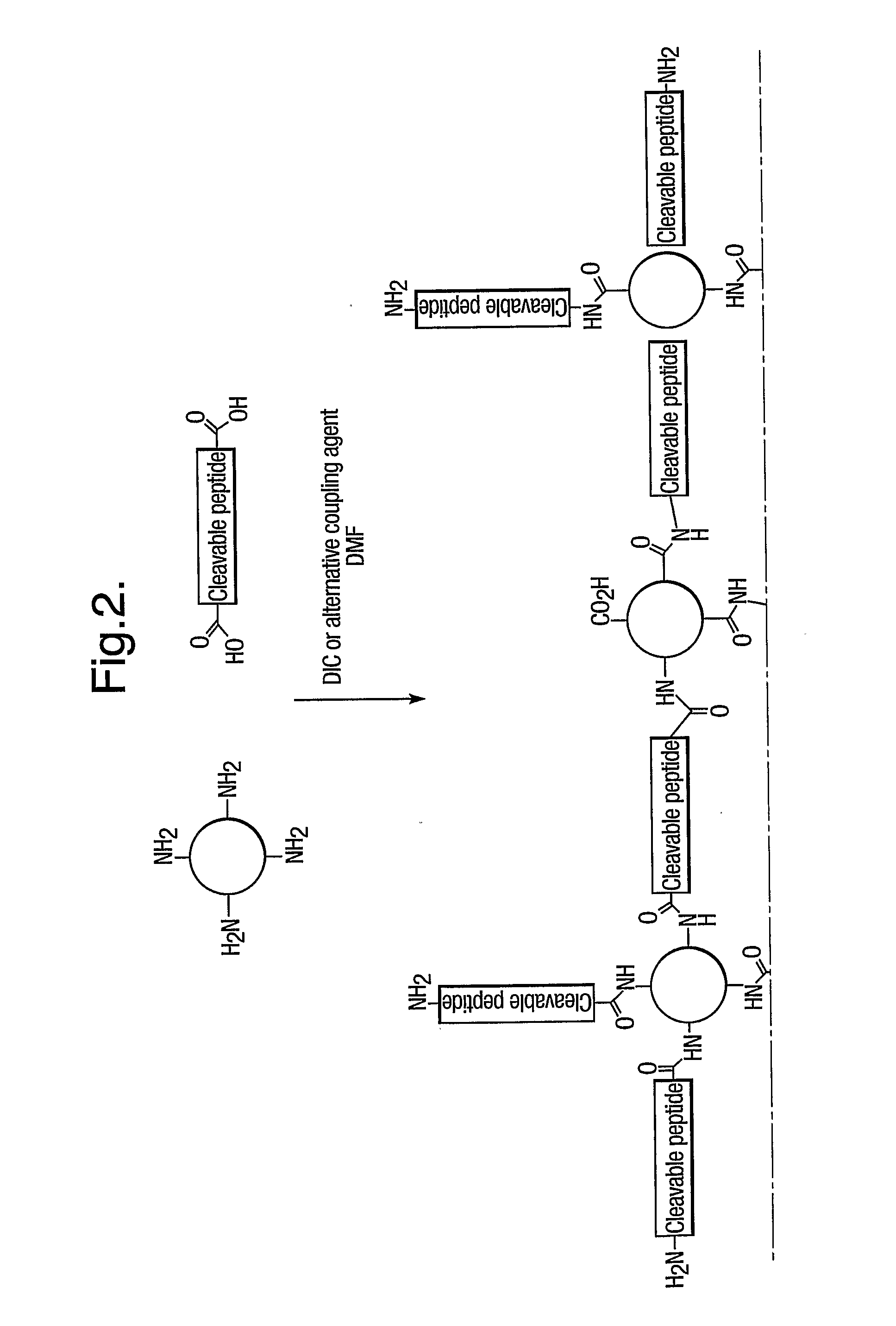 Multimeric Particles