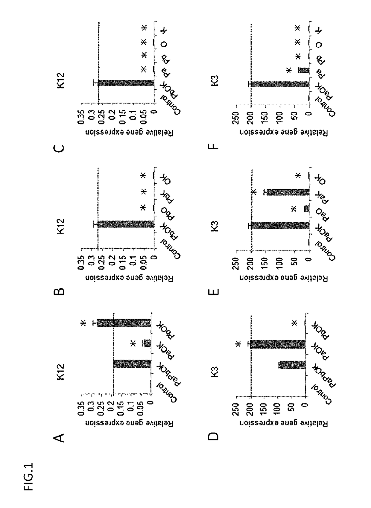 Corneal epithelioid cells derived from surface ectodermal cells