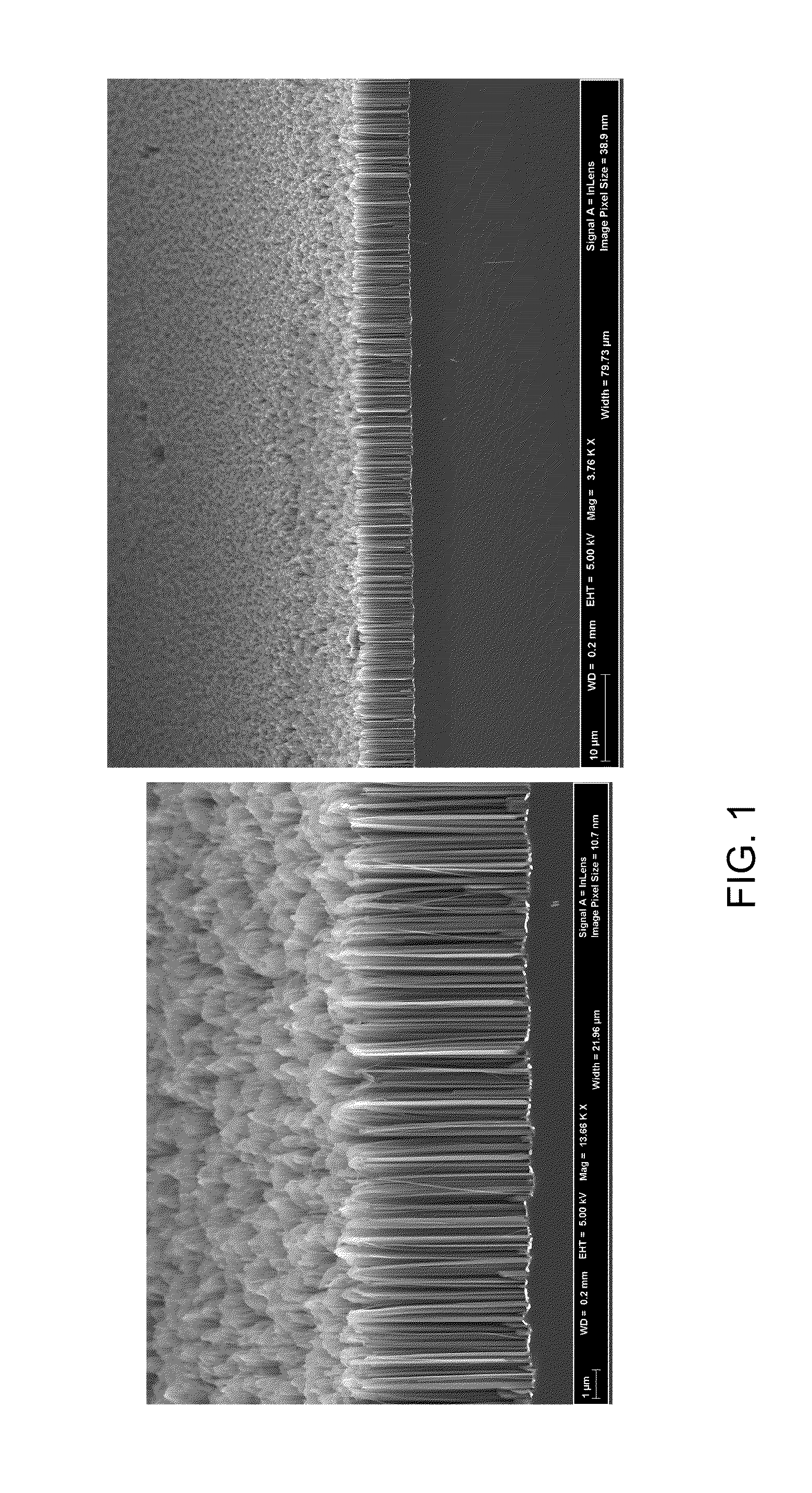 Process for Fabricating Nanowire Arrays