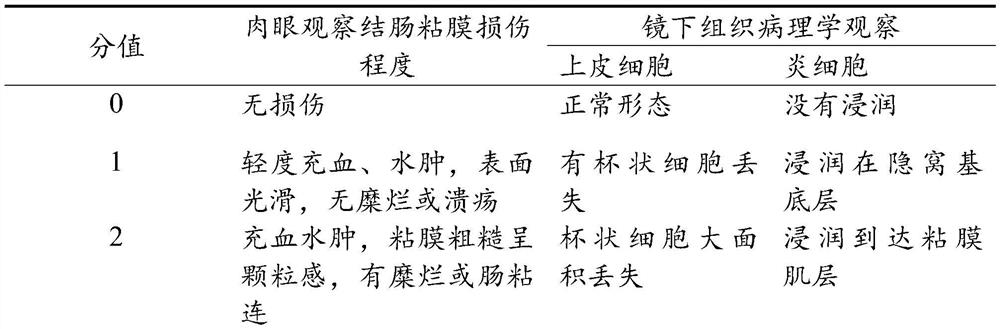 A traditional Chinese medicine composition for treating ulcerative colitis and its preparation method