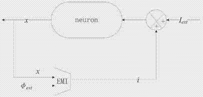 A Neuron Electrical Activity Simulator Under Electromagnetic Radiation