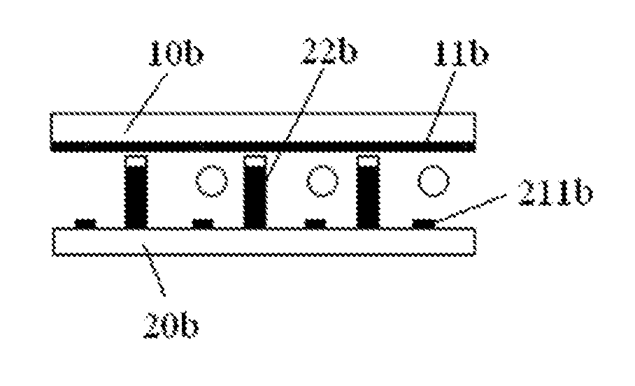 Blue phase liquid crystal display panel