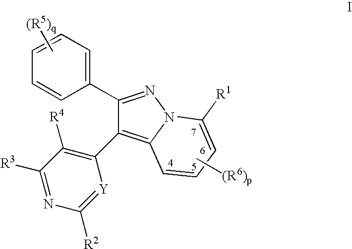 Pyralopyridines, process for their preparation and use as therapeutic compounds