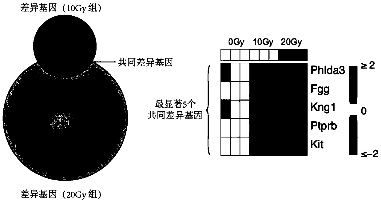 Radiosensitive gene marker and application thereof in X-ray radiation dose monitoring