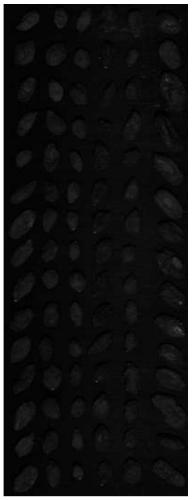 Method for predicting the content of p-hydroxybenzoic acid in Lycium barbarum based on hyperspectral imaging technology