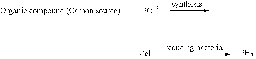 Method for removing phosphorus using membrane bioreactor