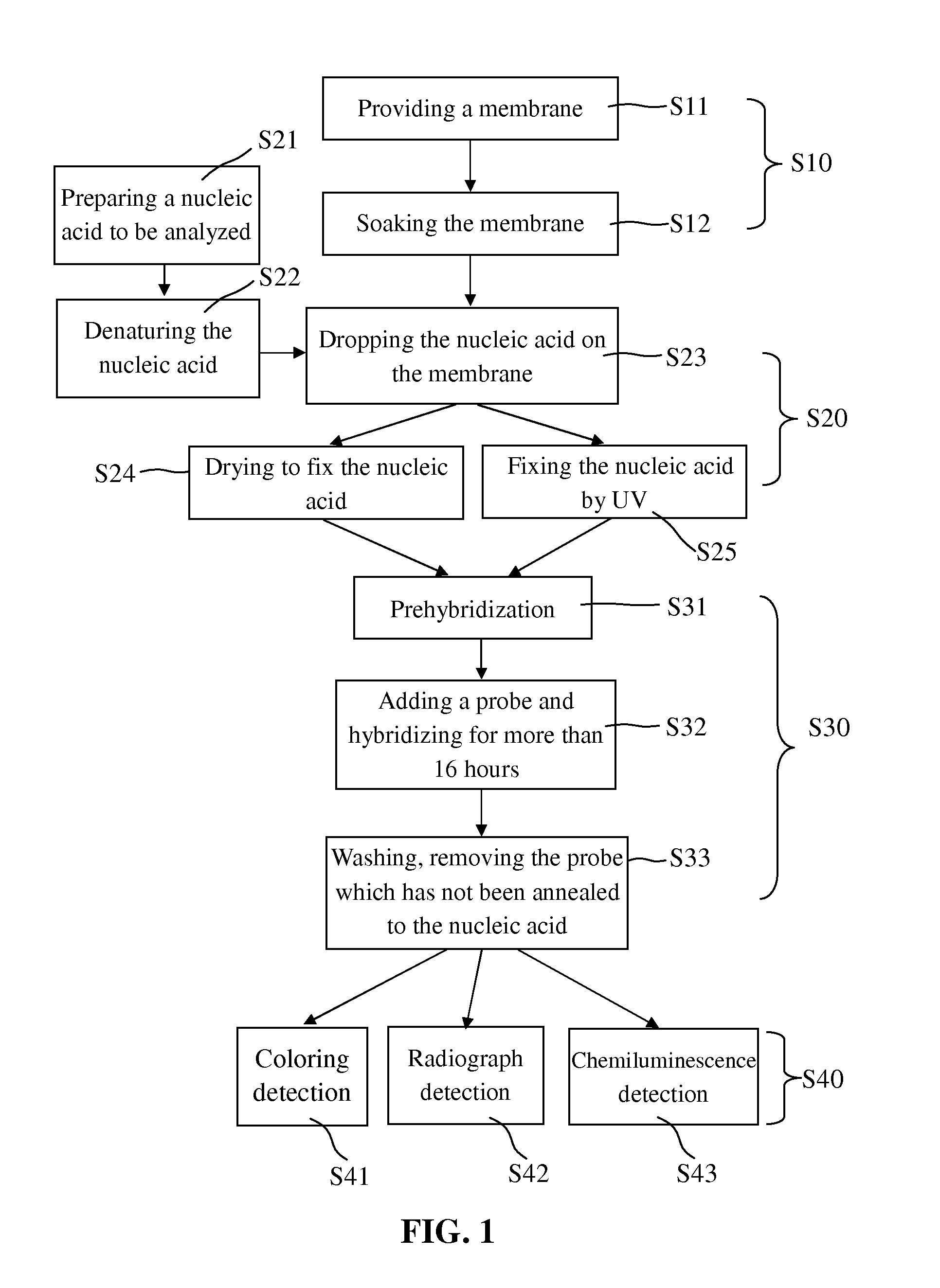 Blotting method for rapidly analyzing nucleic acid