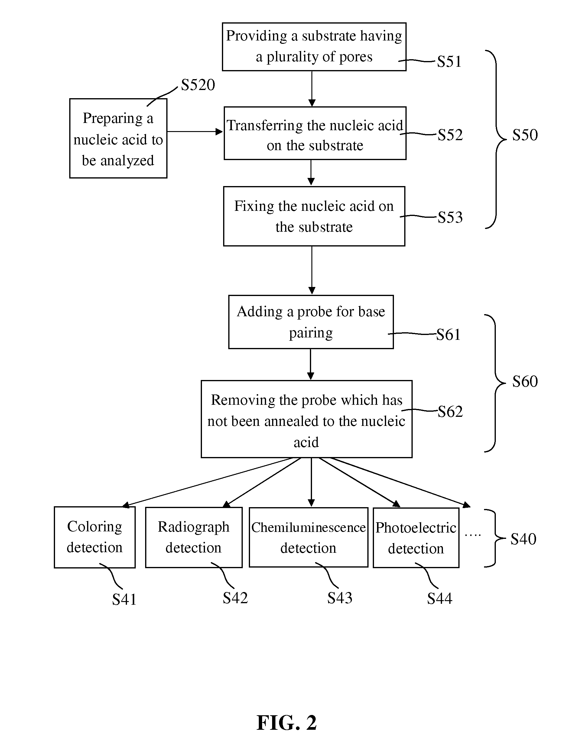 Blotting method for rapidly analyzing nucleic acid