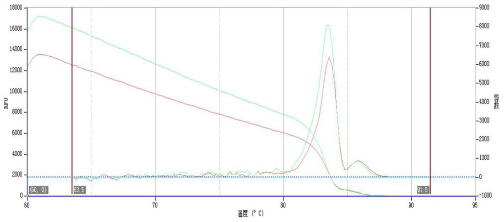 Fluorescent quantitative PCR (Polymerase Chain Reaction) detection kit for poria cocos and identification method