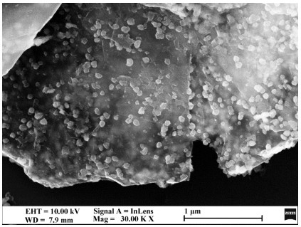 Functionalized graphene/water-borne epoxy resin composite coating with sandwich structure and preparation method thereof