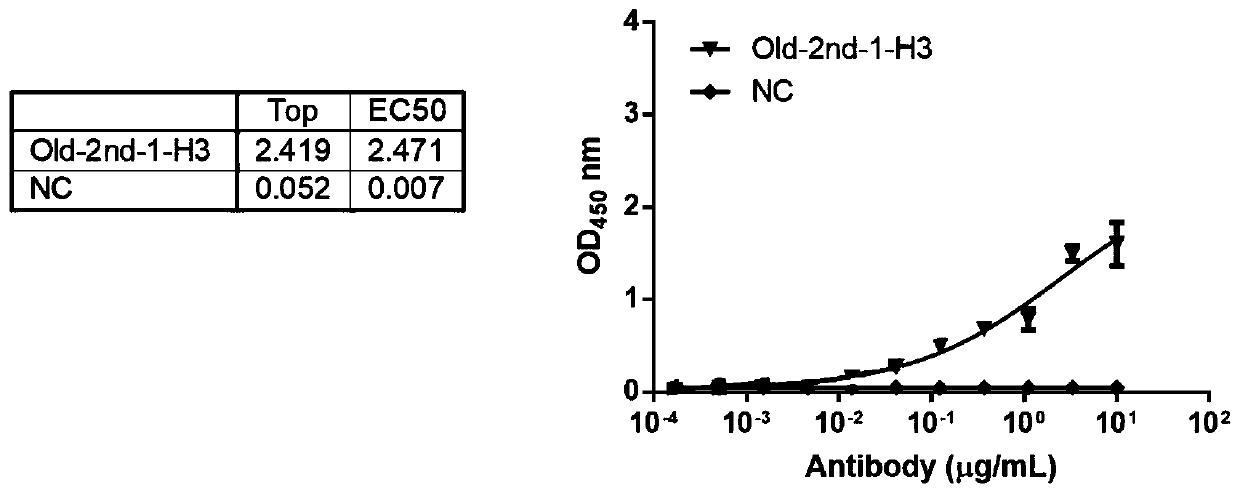 Antibody for resisting anti-cancer embryo antigen as well as preparation method and application thereof