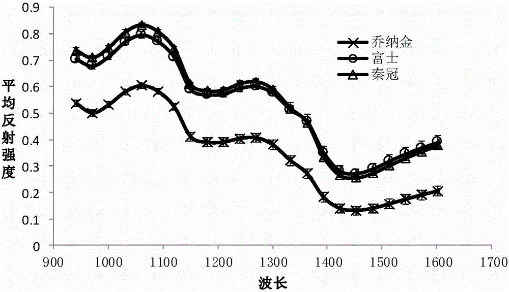 Rapid apple variety identification method based on hyperspectral imaging