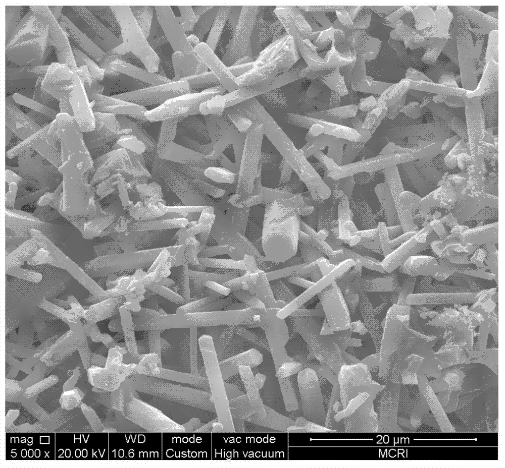 Preparation method of porous silicon nitride ceramic with residues of low metal ions