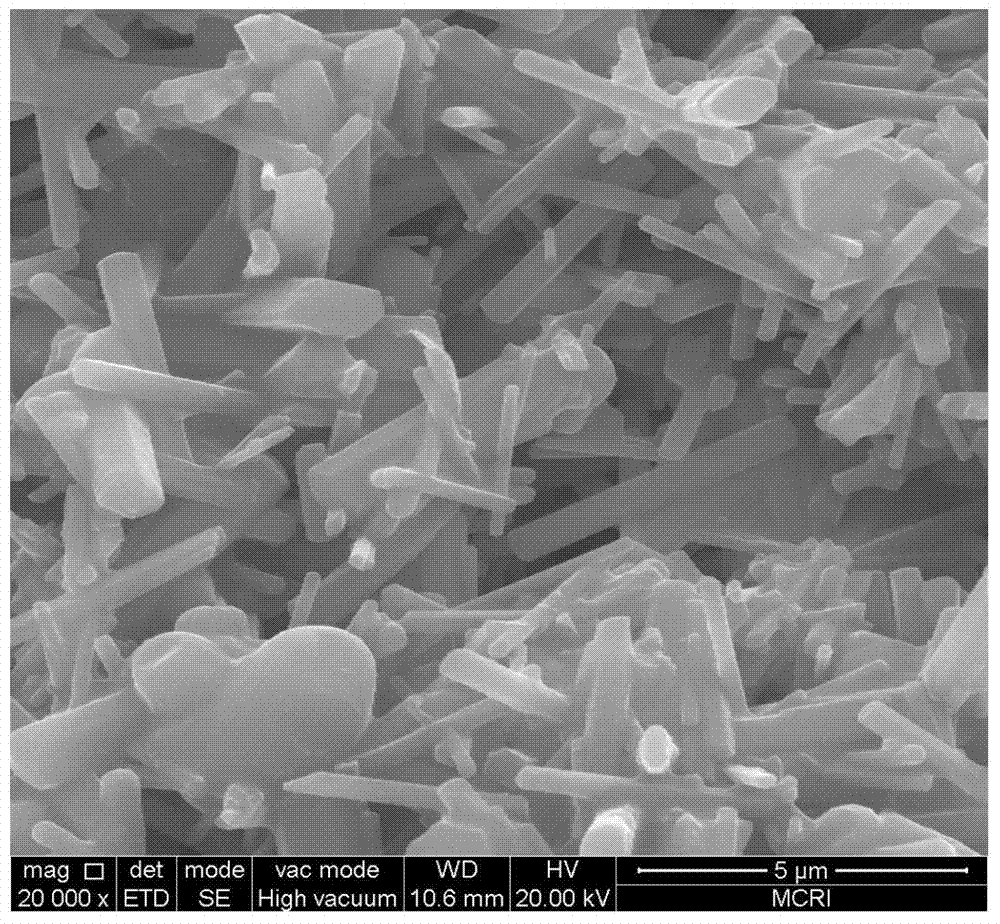 Preparation method of porous silicon nitride ceramic with residues of low metal ions