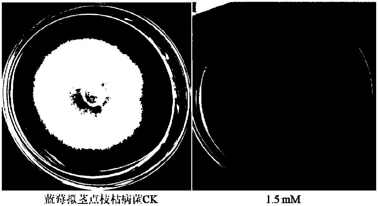 Application of diclofenac sodium in preparation of fungicide used for controlling plant diseases caused by plant pathogens