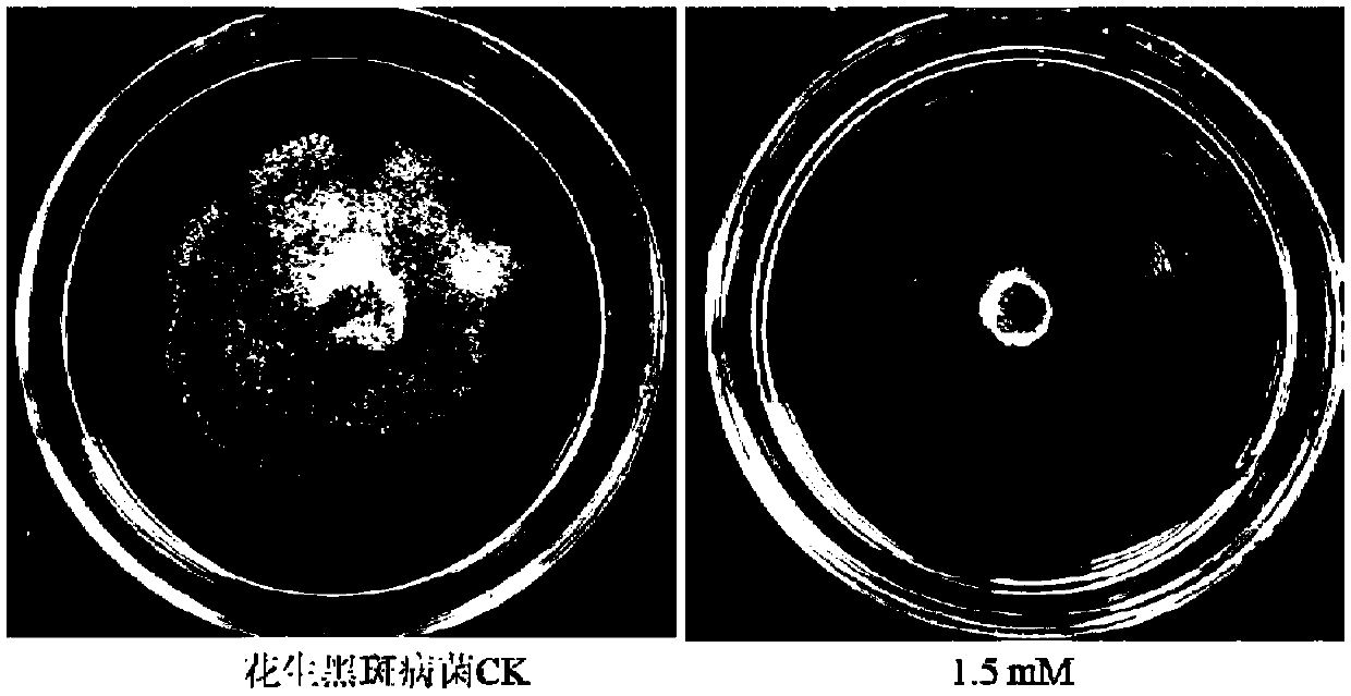 Application of diclofenac sodium in preparation of fungicide used for controlling plant diseases caused by plant pathogens