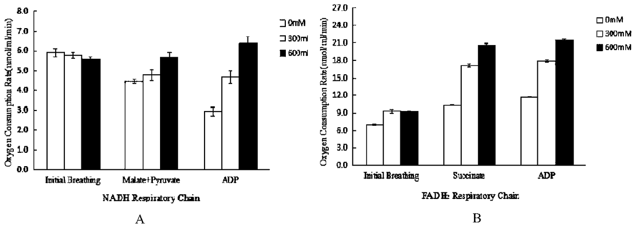 Italian penicillium mitochondria extraction method