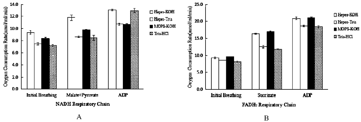 Italian penicillium mitochondria extraction method