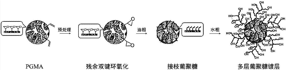 A hydrophilic modification method for polyglycidyl methacrylates or copolymers thereof and materials obtained by modification