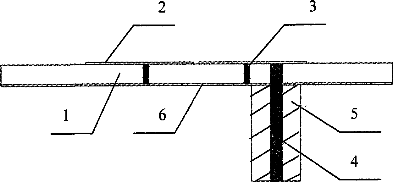 Omnidirectional radiative microstrip aerial