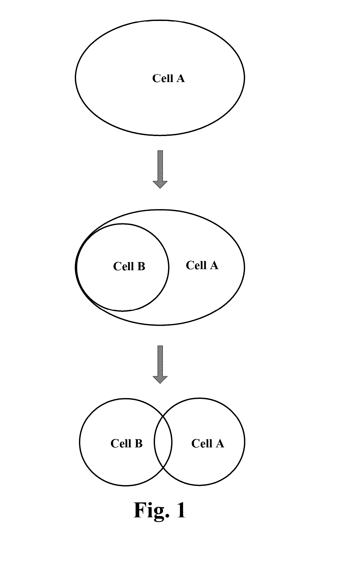 Information Interaction Method, Base Station and Communication System