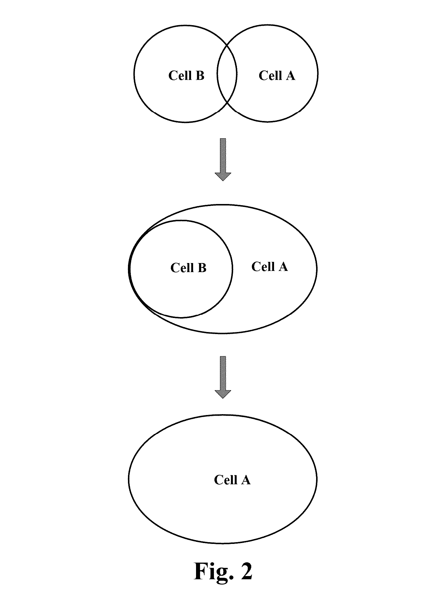 Information Interaction Method, Base Station and Communication System