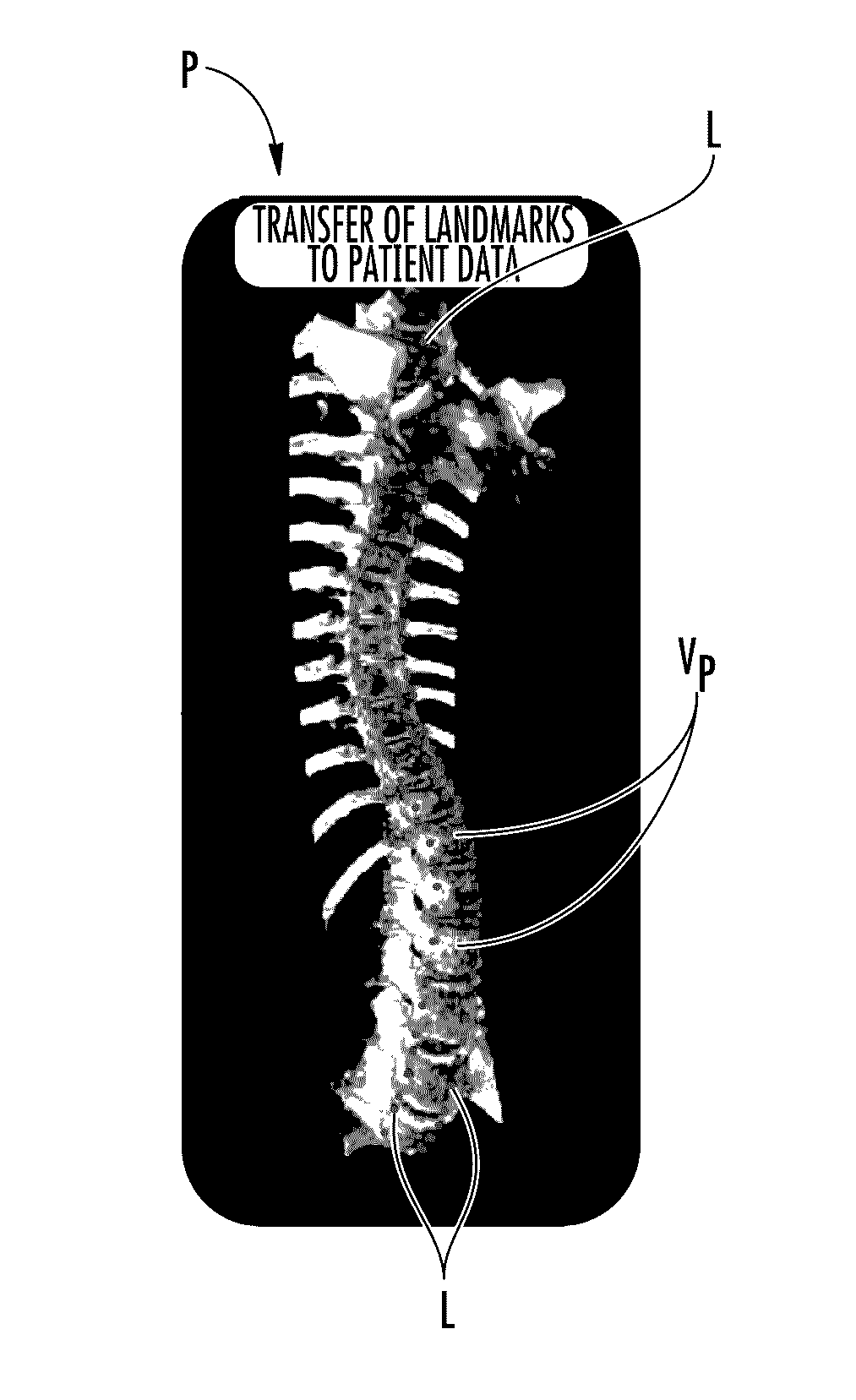 Automated 3-D orthopedic assessments