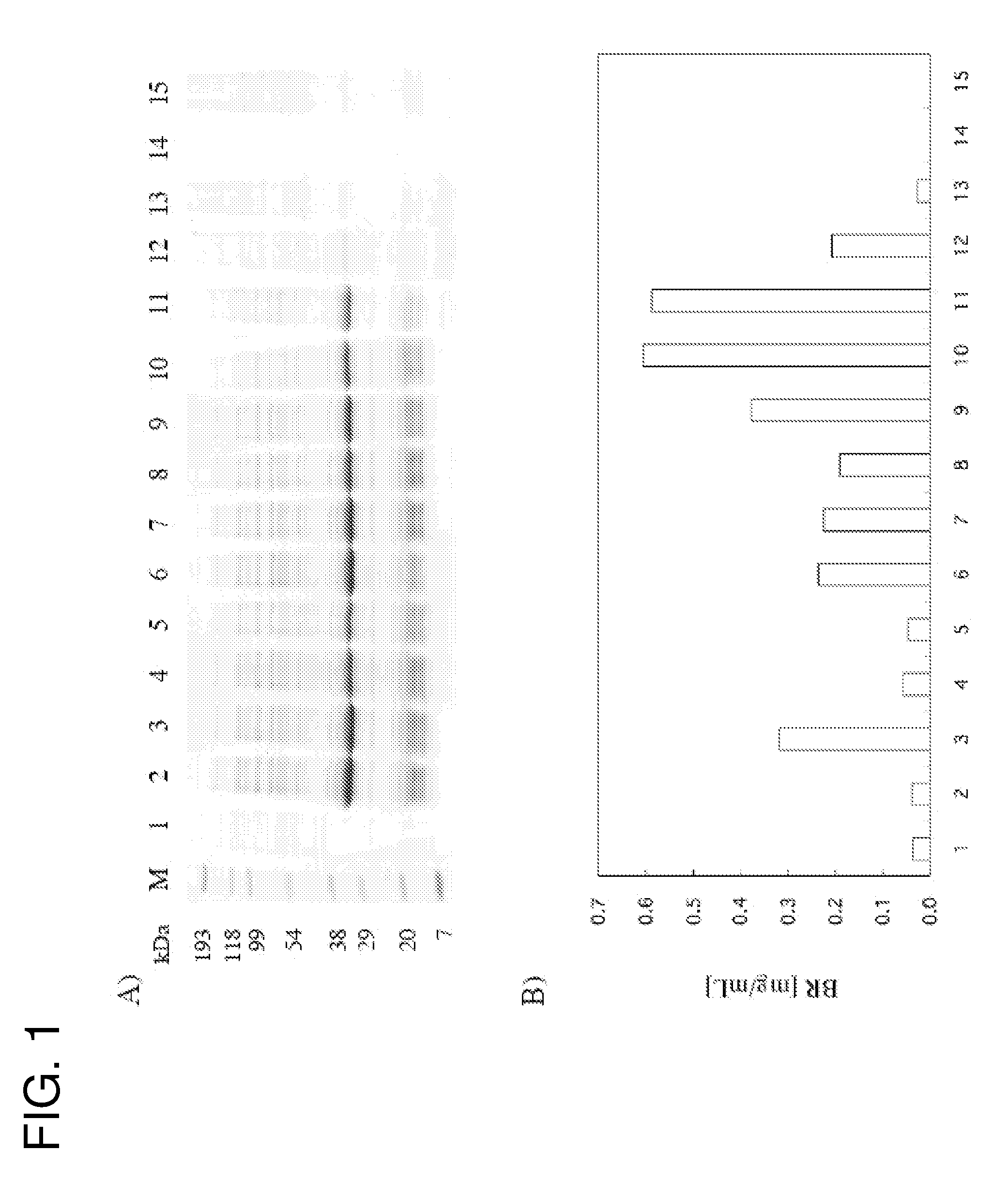 Method for producing a membrane protein