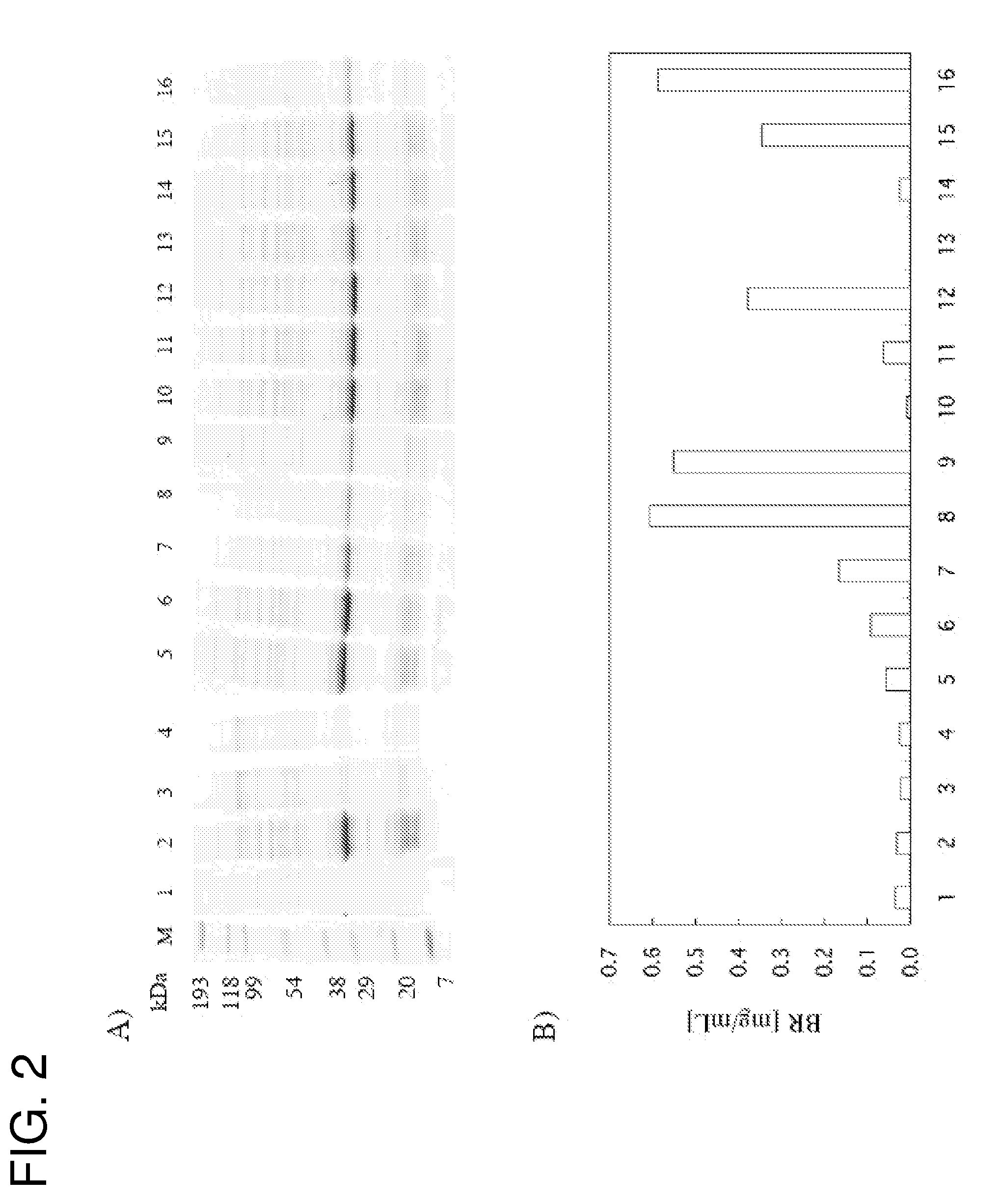 Method for producing a membrane protein