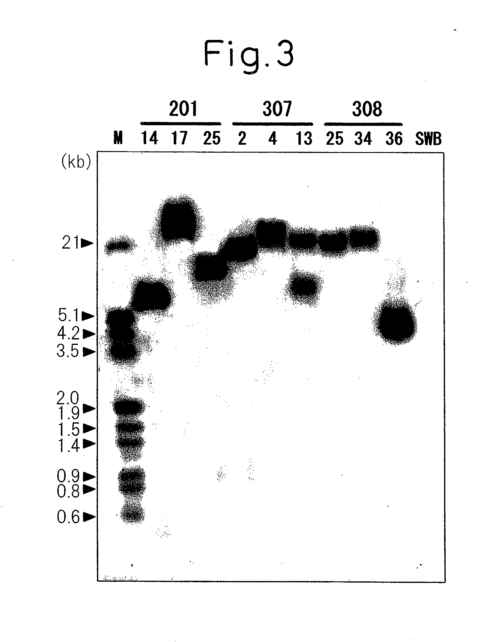 Method for producing yellow flower by controlling flavonoid synthetic pathway