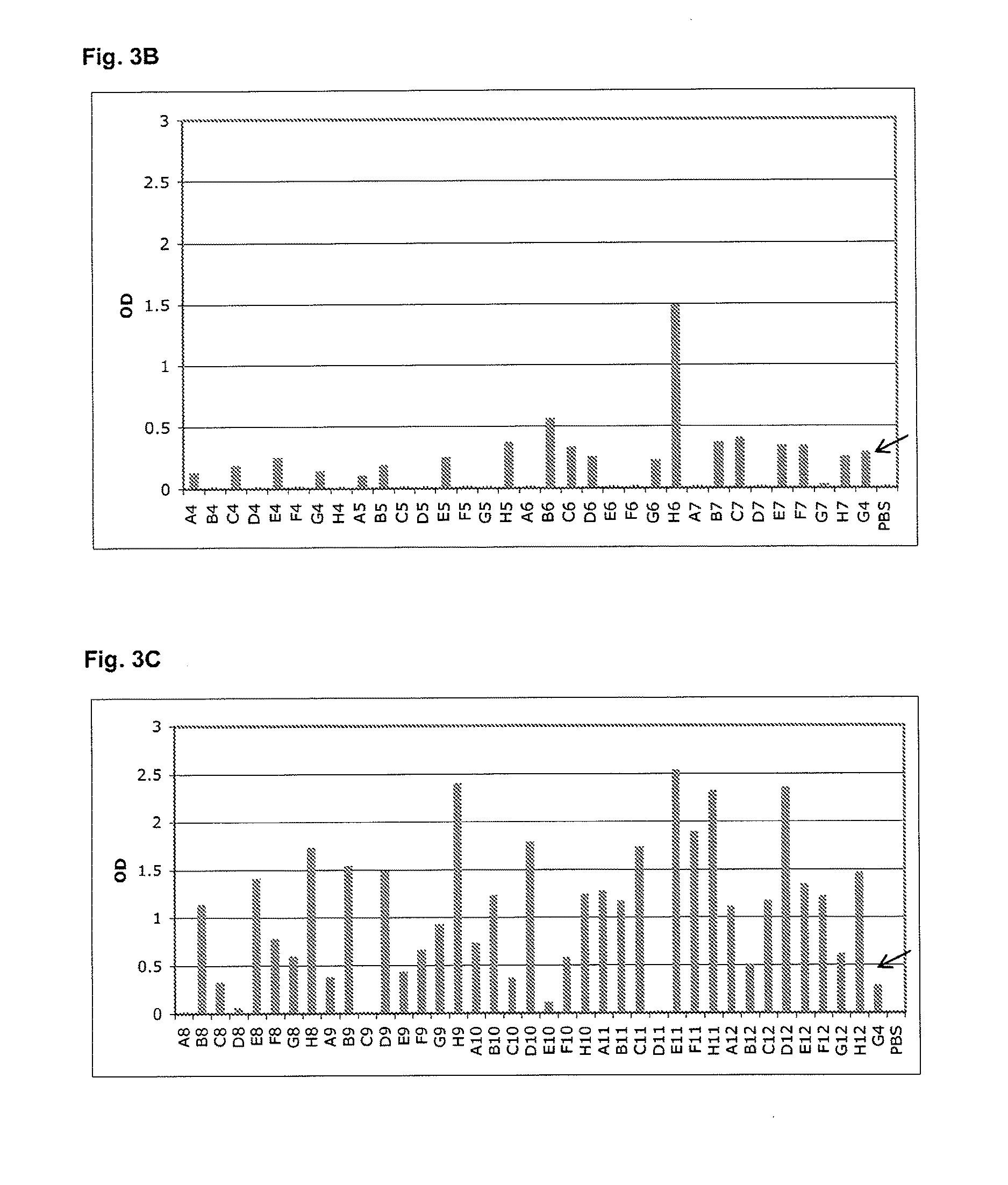 Specific and high affinity binding proteins comprising modified sh3 domains of fyn kinase