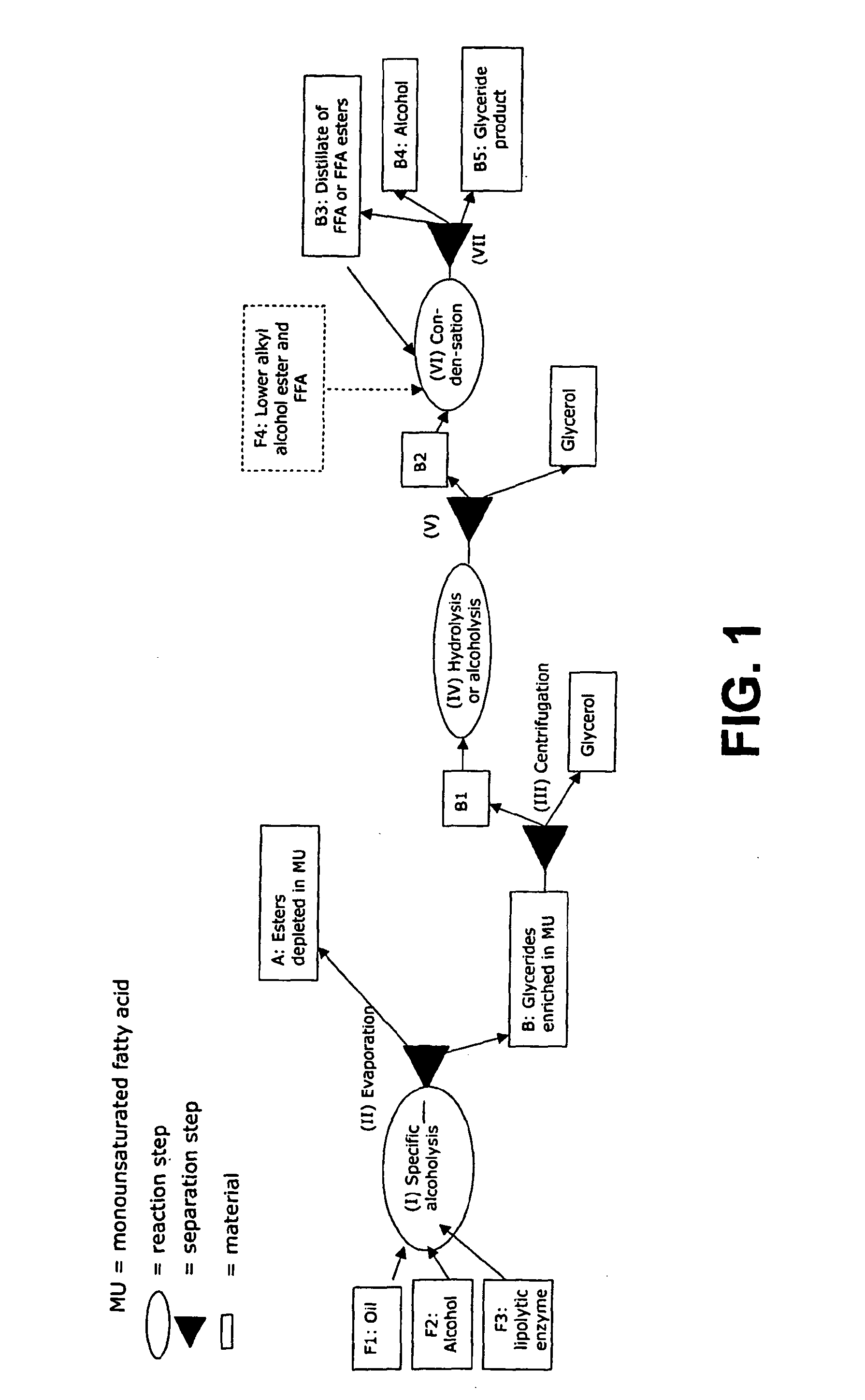 Method for Producing Monosaturated Glycerides