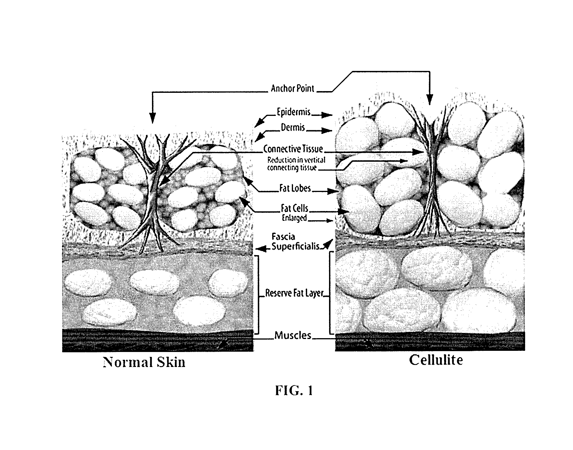 Cosmetic compositions and uses thereof