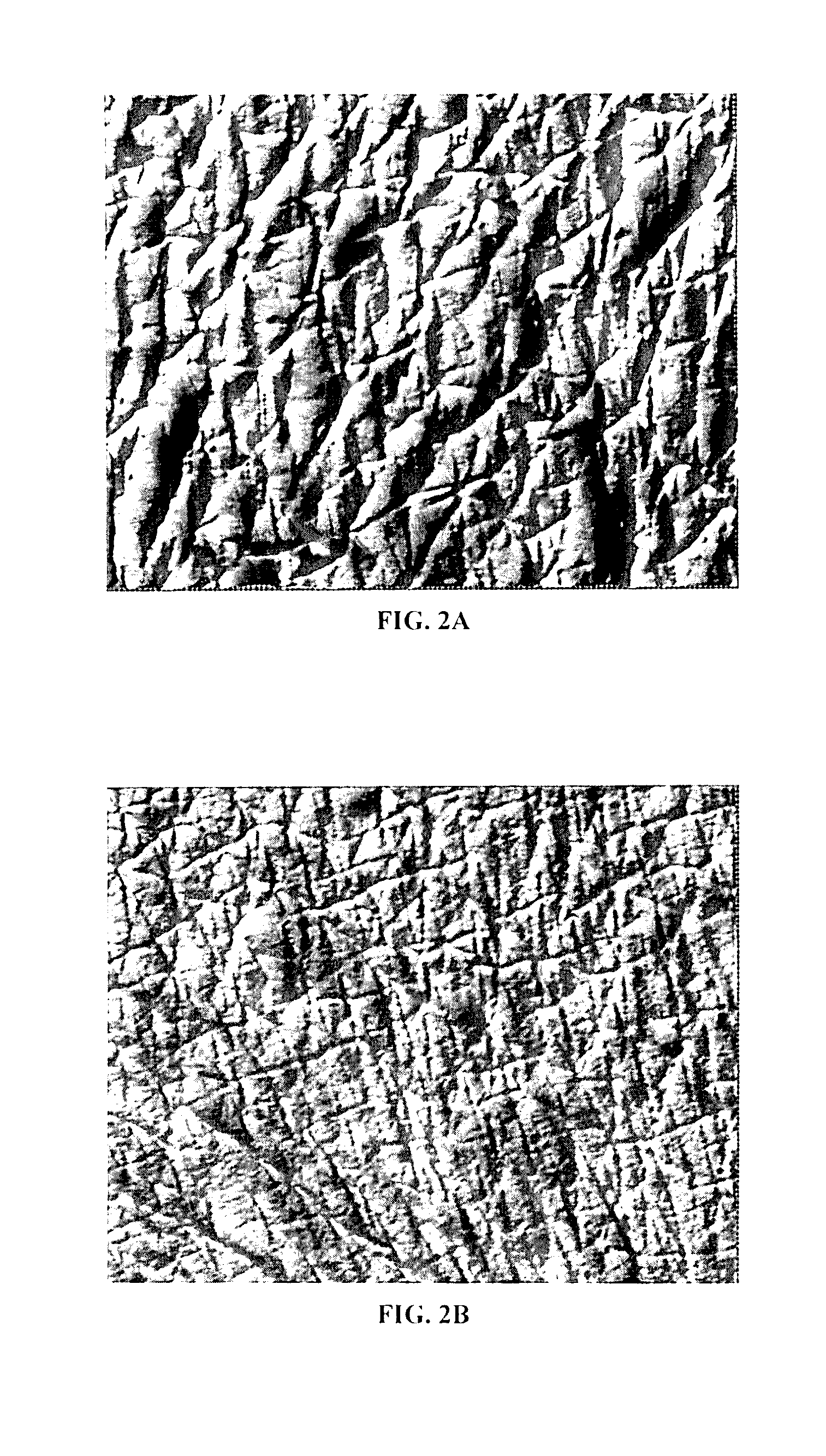 Cosmetic compositions and uses thereof