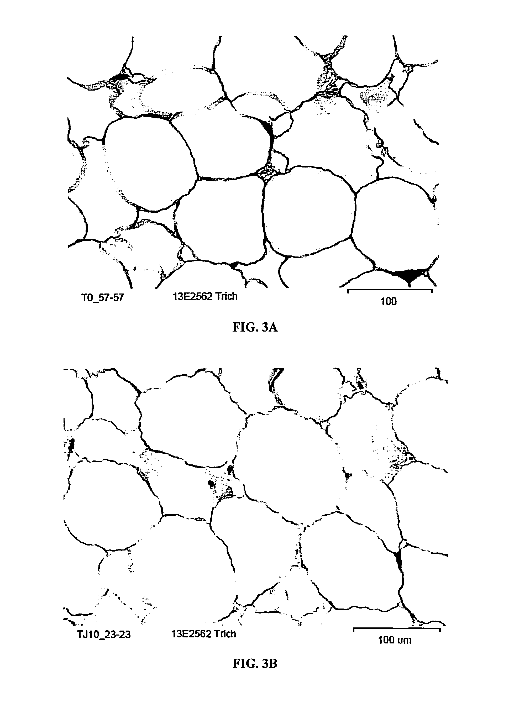 Cosmetic compositions and uses thereof