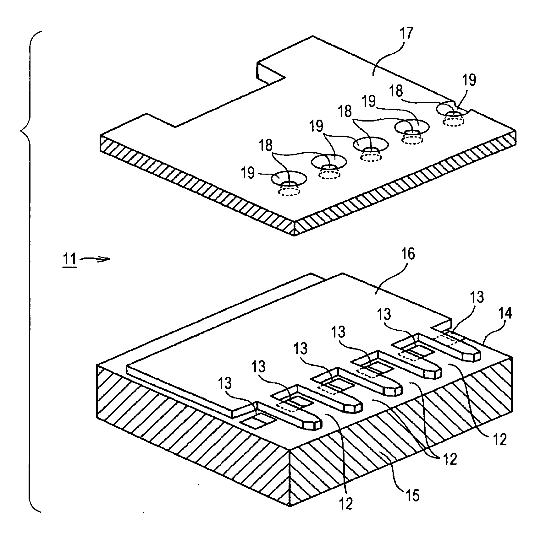 Liquid ejection head, liquid ejection apparatus, and method for fabricating liquid ejection head