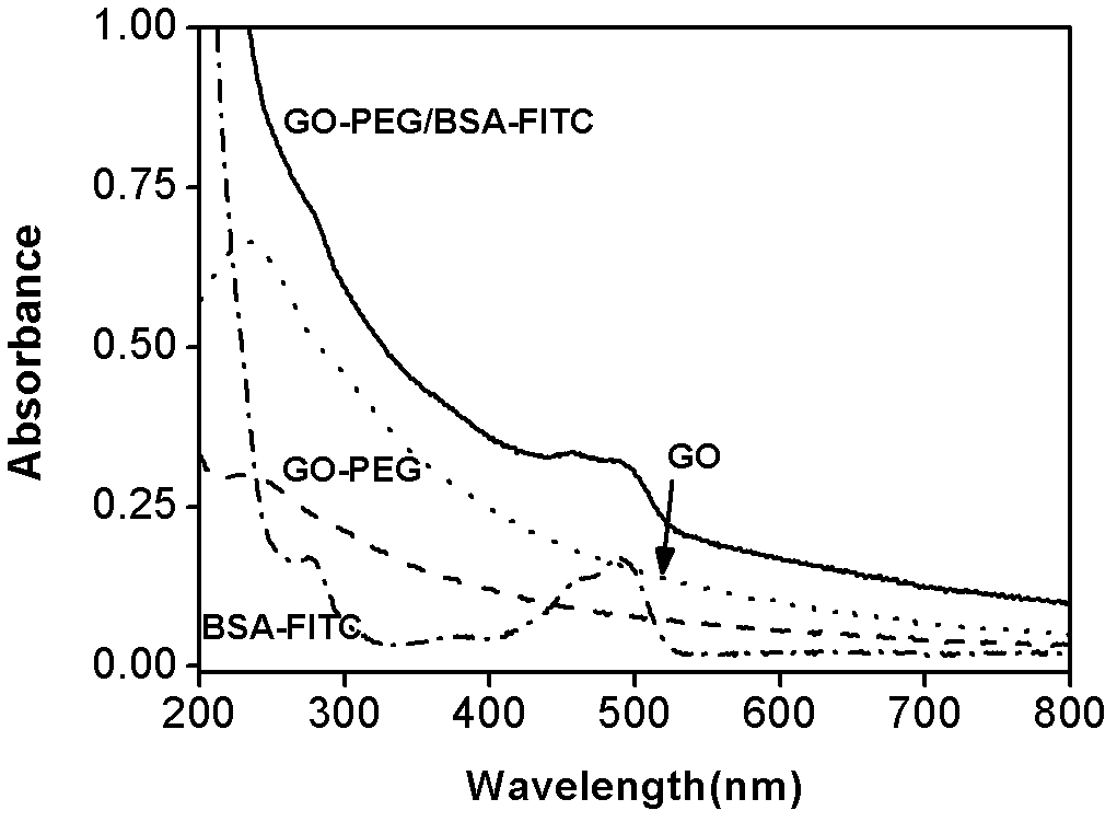 Nano graphene oxide protein complex, preparation method and applications thereof