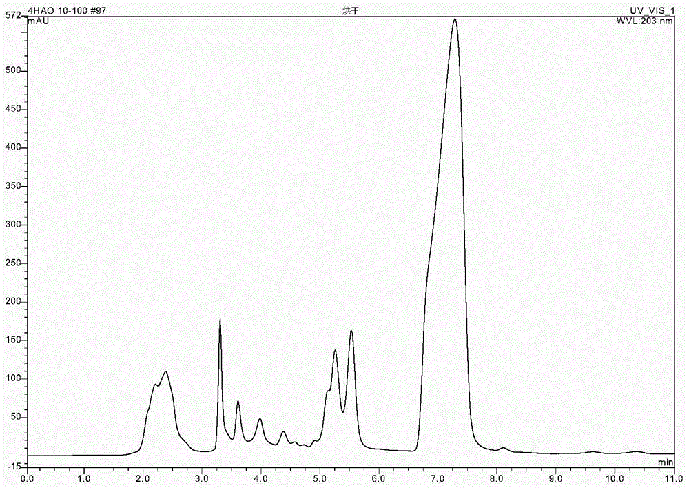 Method for extracting phloridzin of malus hupehensis (pamp.) rehd