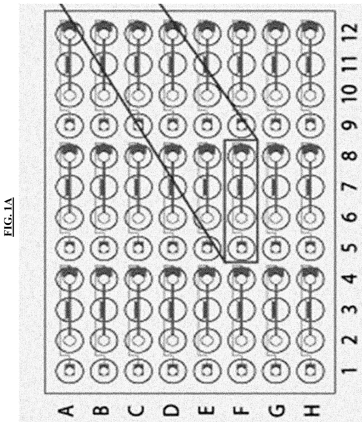 Cell Culture And Invasion Assay Method And System