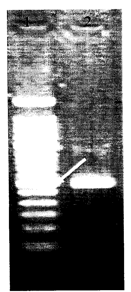 Preparation method of non-small cell lung cancer molecular marker related probes and application thereof