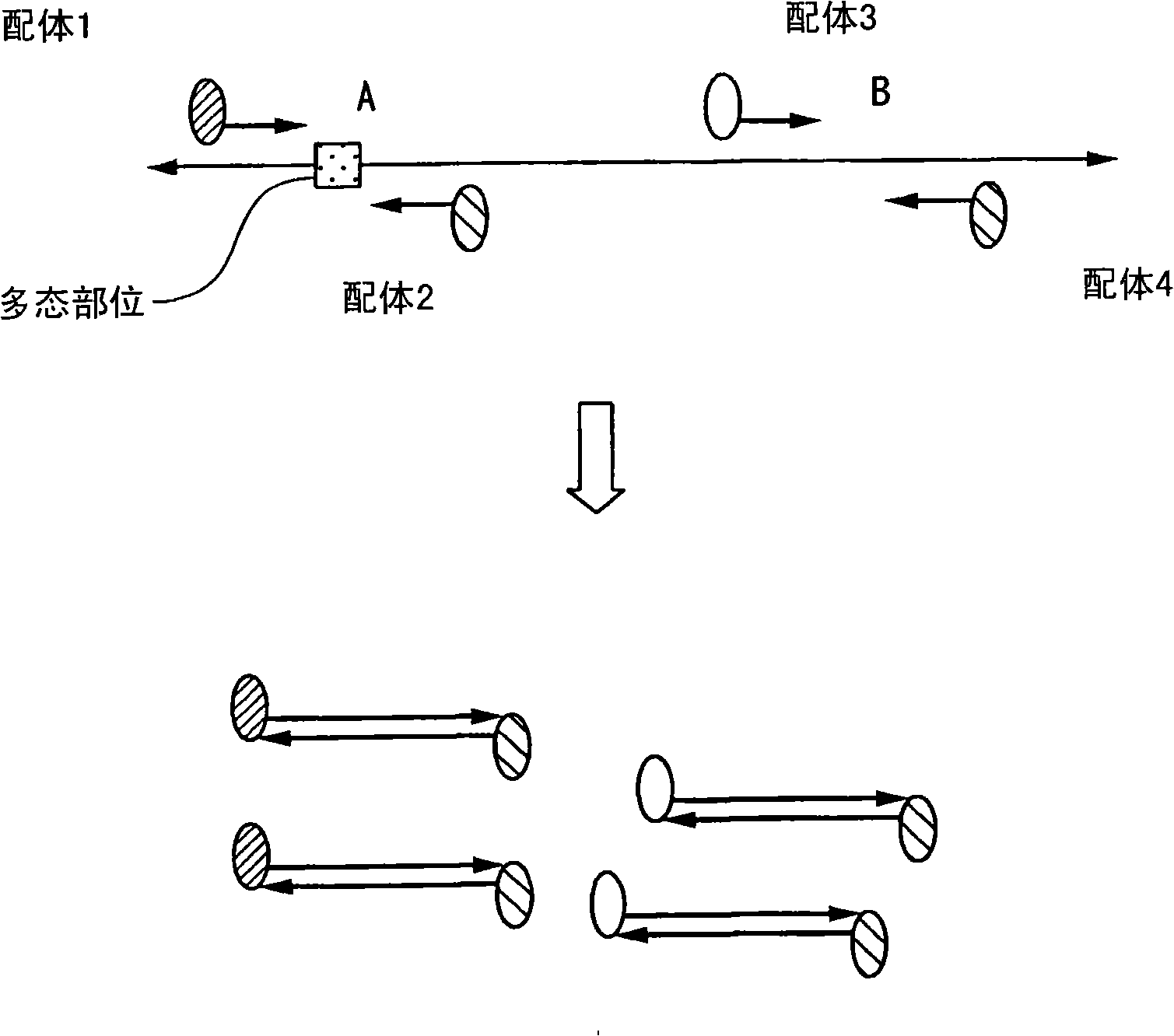 Method of analyzing change in primary structure of nucleic acid