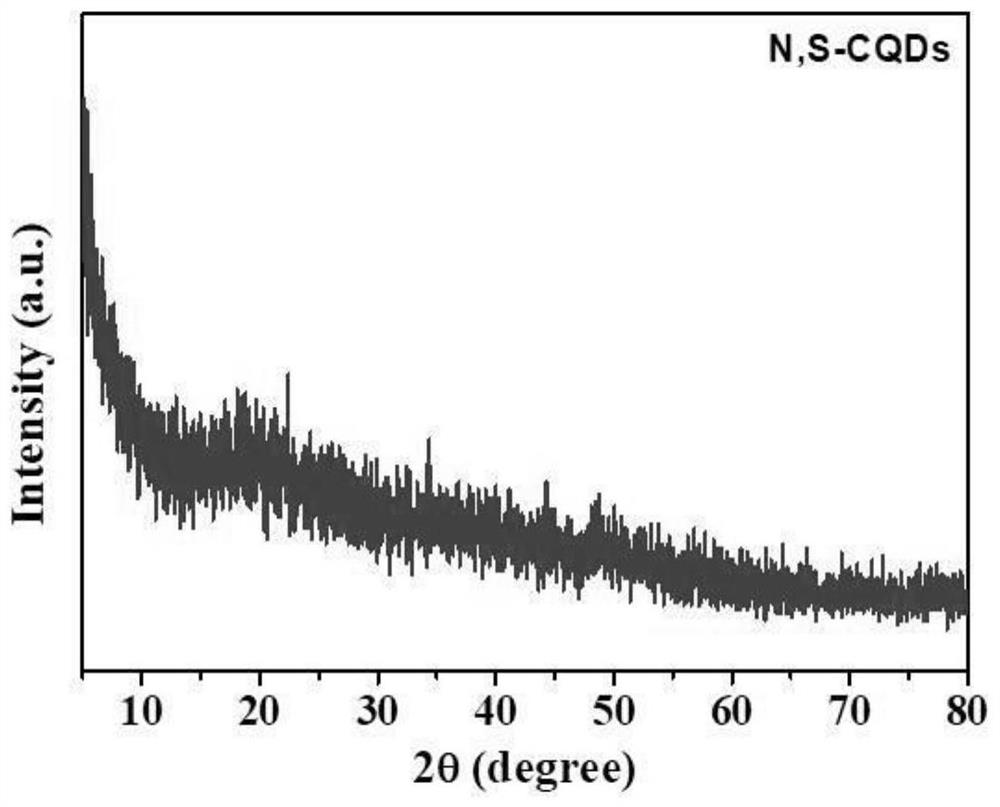 Water-soluble N, S co-doped carbon quantum dot material as well as preparation method and application thereof