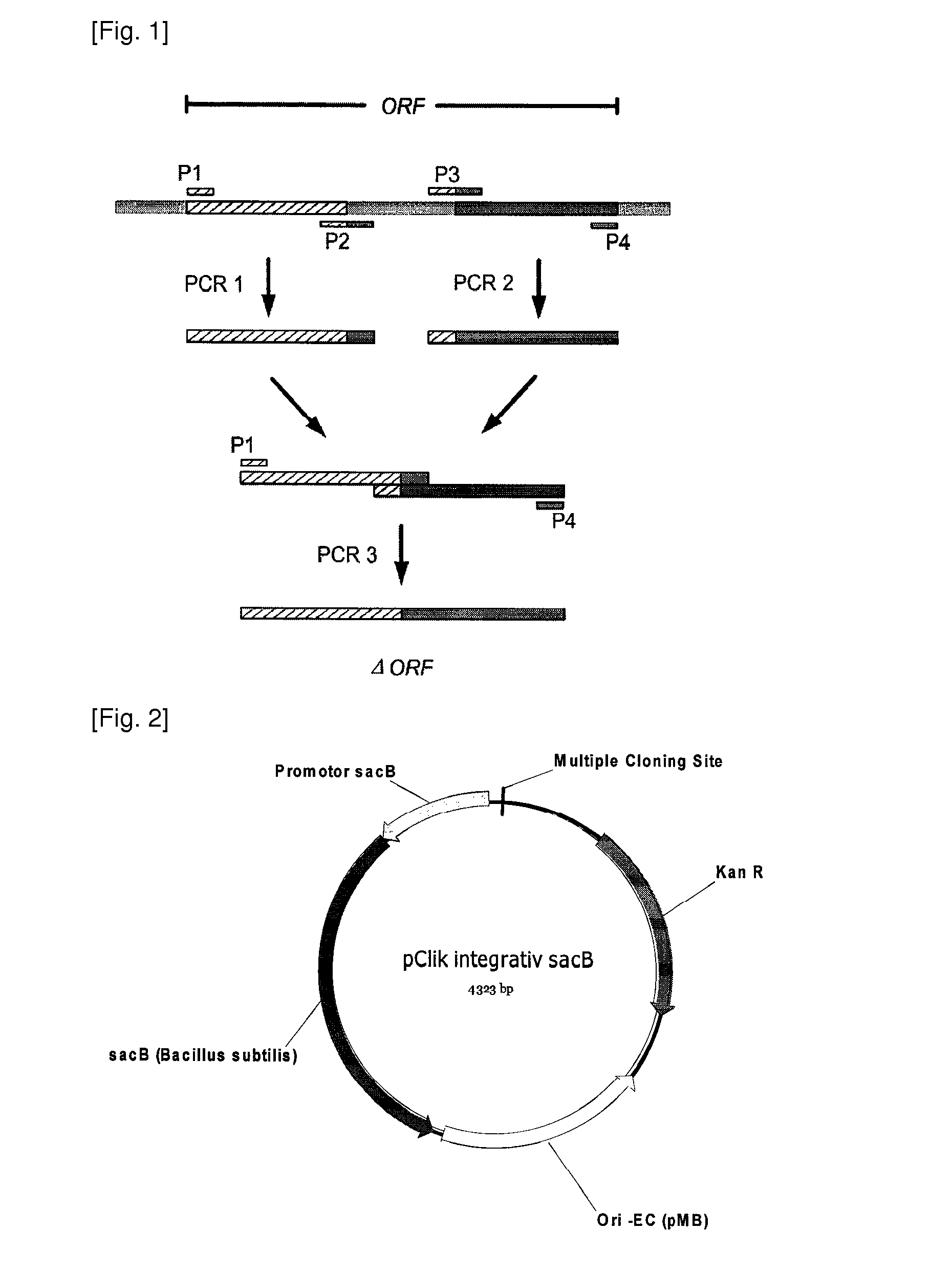 Production process for amino acids of the aspartate family using microorganisms